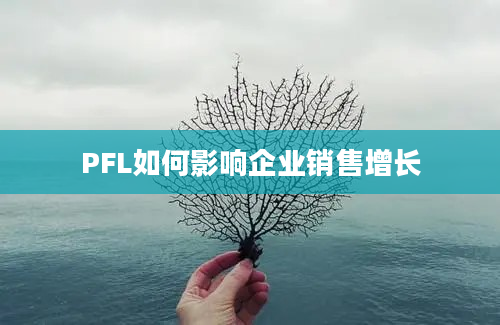 PFL如何影响企业销售增长