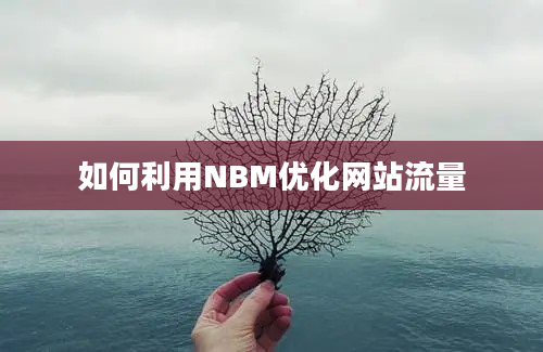 如何利用NBM优化网站流量