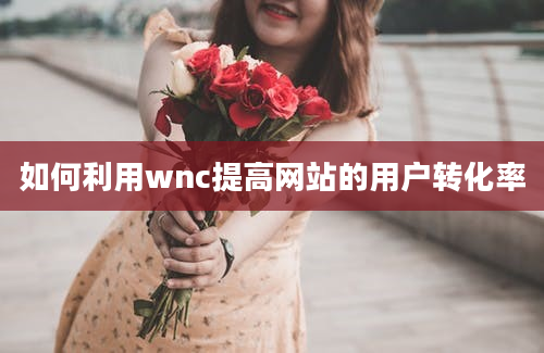 如何利用wnc提高网站的用户转化率