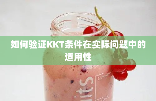 如何验证KKT条件在实际问题中的适用性