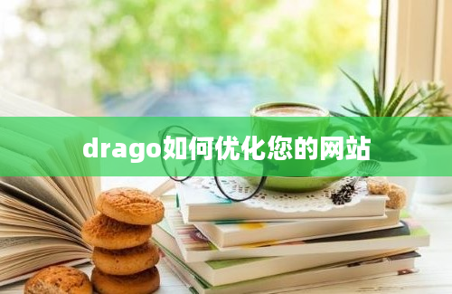 drago如何优化您的网站