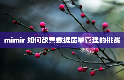 mimir 如何改善数据质量管理的挑战