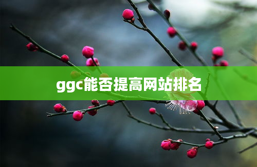 ggc能否提高网站排名