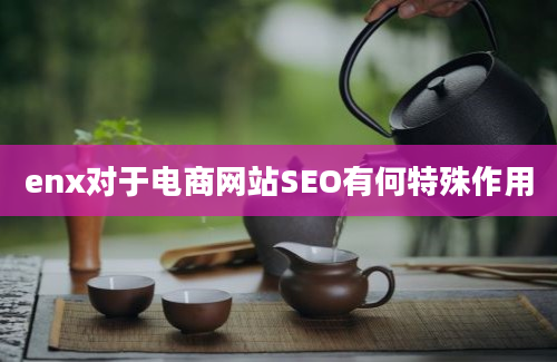 enx对于电商网站SEO有何特殊作用