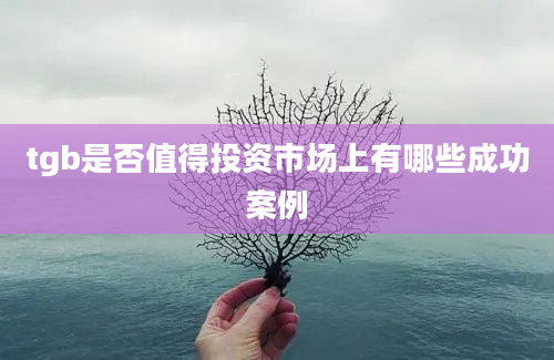 tgb是否值得投资市场上有哪些成功案例