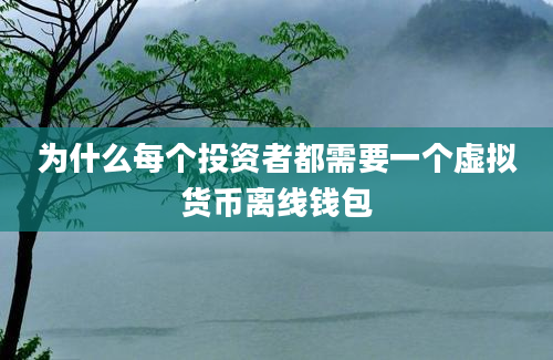 为什么每个投资者都需要一个虚拟货币离线钱包