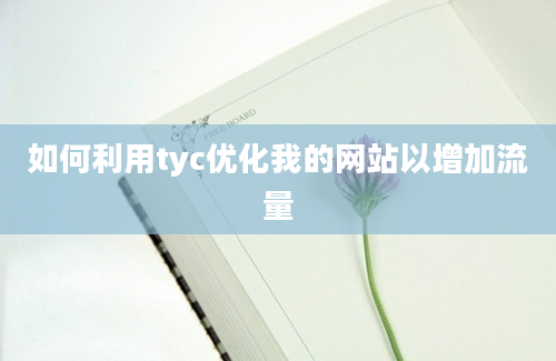 如何利用tyc优化我的网站以增加流量