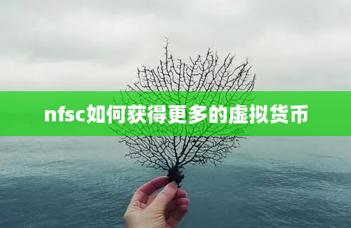 nfsc如何获得更多的虚拟货币