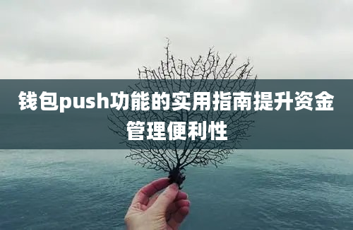 钱包push功能的实用指南提升资金管理便利性