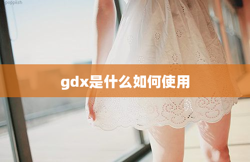 gdx是什么如何使用