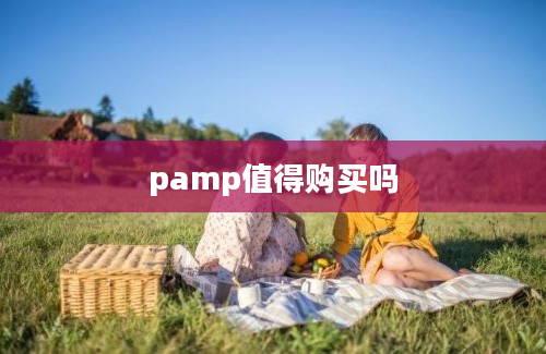 pamp值得购买吗