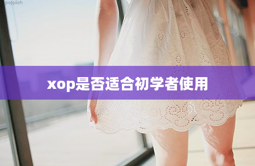 xop是否适合初学者使用