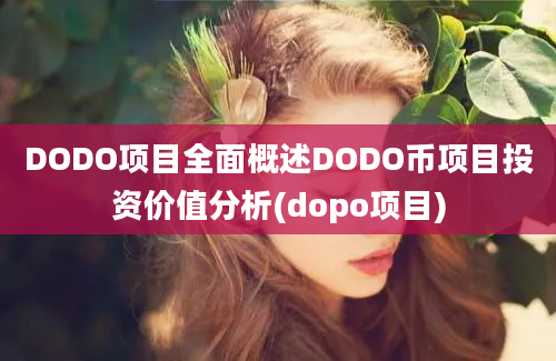 DODO项目全面概述DODO币项目投资价值分析(dopo项目)