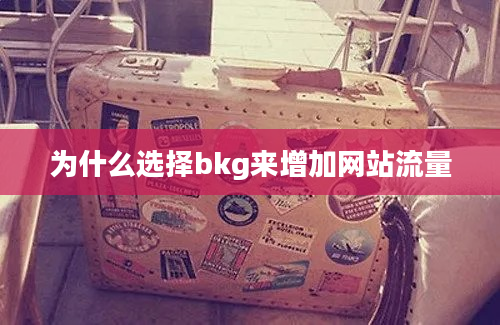 为什么选择bkg来增加网站流量