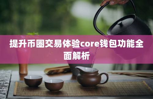 提升币圈交易体验core钱包功能全面解析