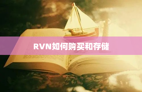 RVN如何购买和存储