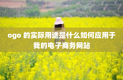 ogo 的实际用途是什么如何应用于我的电子商务网站