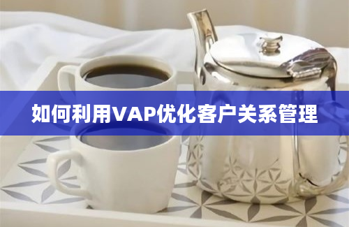 如何利用VAP优化客户关系管理