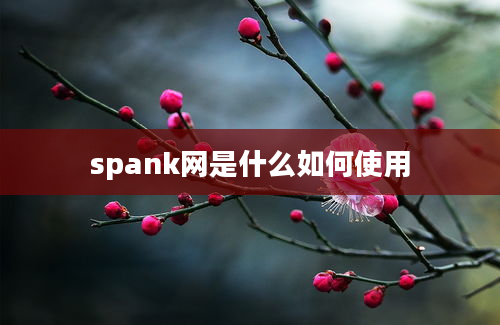 spank网是什么如何使用