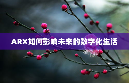 ARX如何影响未来的数字化生活