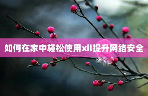 如何在家中轻松使用xil提升网络安全