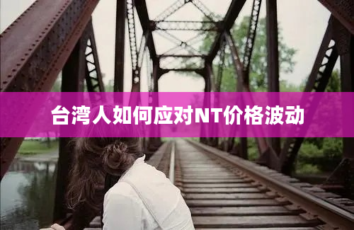 台湾人如何应对NT价格波动