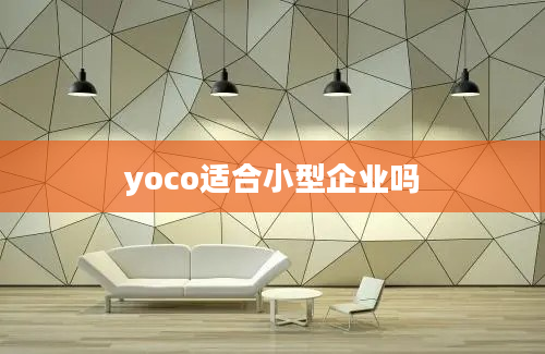 yoco适合小型企业吗