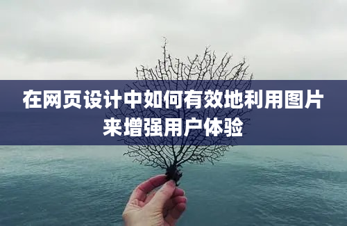 在网页设计中如何有效地利用图片来增强用户体验