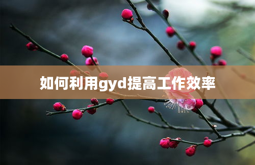 如何利用gyd提高工作效率