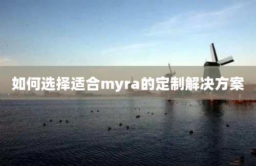 如何选择适合myra的定制解决方案