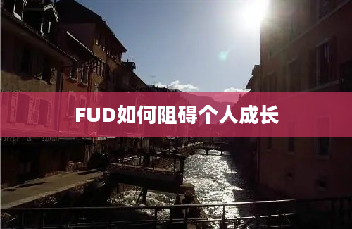 FUD如何阻碍个人成长