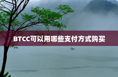 BTCC可以用哪些支付方式购买