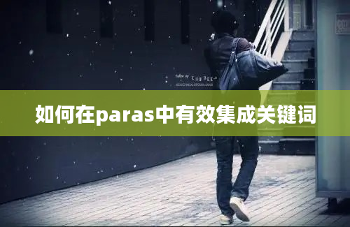 如何在paras中有效集成关键词