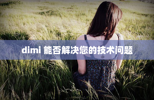 dimi 能否解决您的技术问题