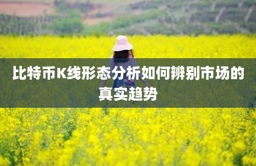 比特币K线形态分析如何辨别市场的真实趋势