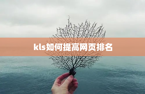 kls如何提高网页排名