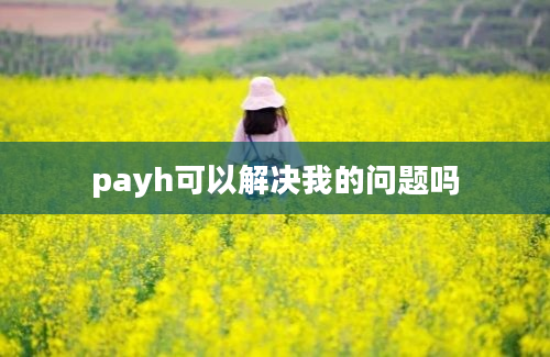 payh可以解决我的问题吗