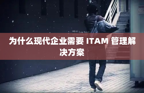 为什么现代企业需要 ITAM 管理解决方案