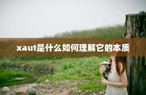 xaut是什么如何理解它的本质