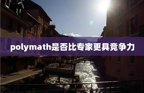 polymath是否比专家更具竞争力