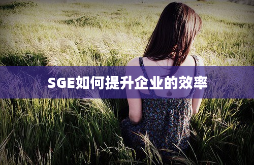 SGE如何提升企业的效率