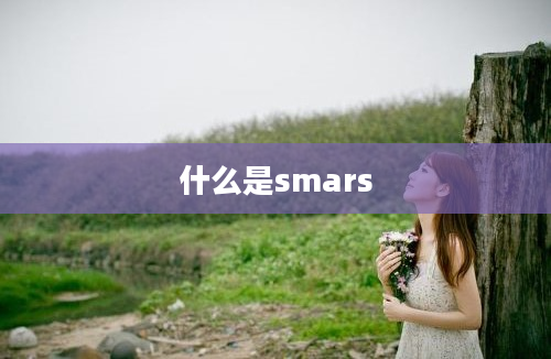 什么是smars