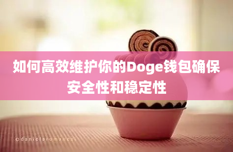 如何高效维护你的Doge钱包确保安全性和稳定性