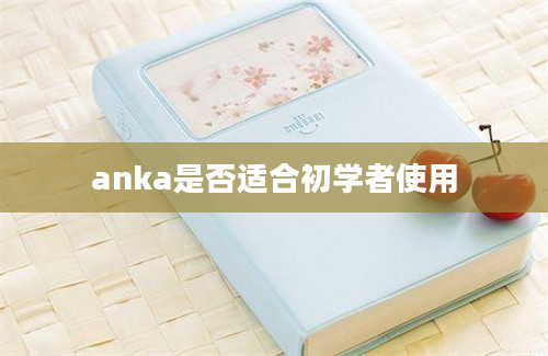 anka是否适合初学者使用