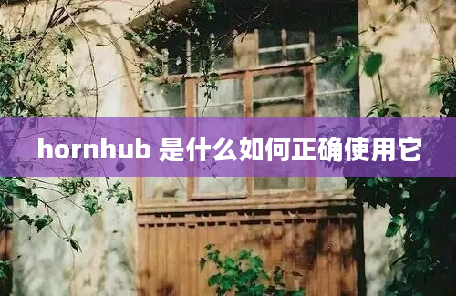 hornhub 是什么如何正确使用它