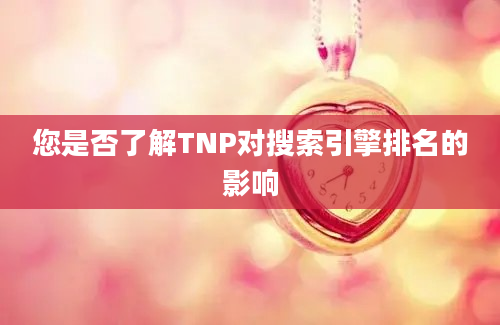 您是否了解TNP对搜索引擎排名的影响