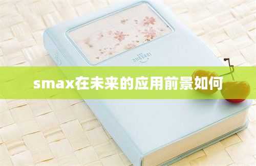 smax在未来的应用前景如何