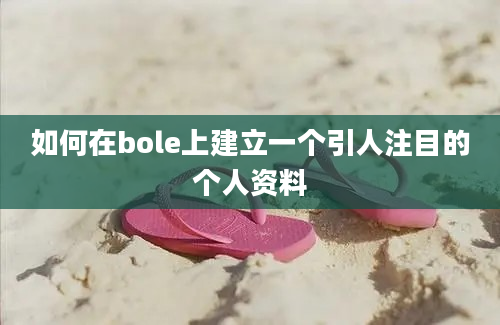 如何在bole上建立一个引人注目的个人资料