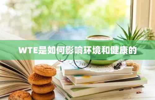 WTE是如何影响环境和健康的