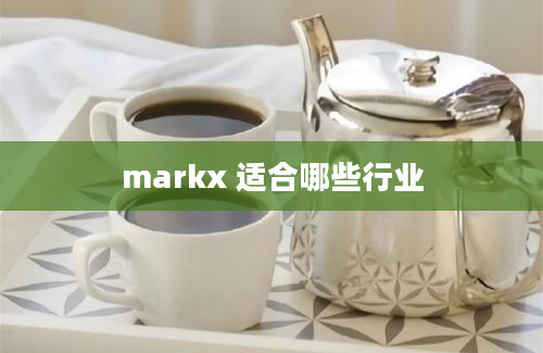 markx 适合哪些行业